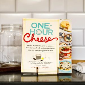 One Hour Cheese